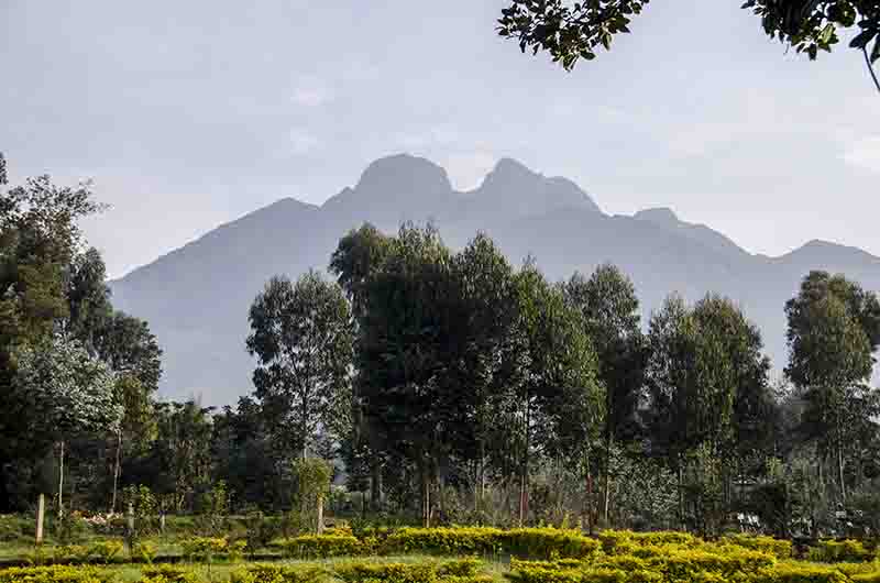 13 - Ruanda - parque nacional de los volcanes - paisaje